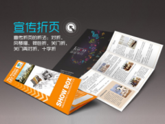 广州画册印刷公司 广州宣传册海报 定制说明书